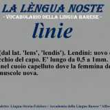 I termini dimenticati del dialetto barese